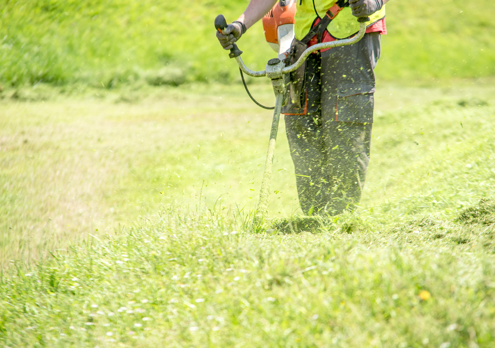 L’essentiel à savoir sur le débroussaillage d’un terrain